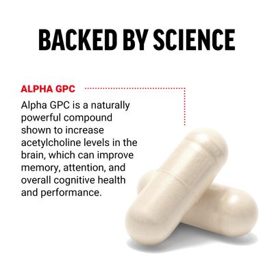 FORCE FACTOR Alpha GPC Brain Supplement for Memory and Focus, Mood Support Supplement with Alpha GPC 600mg, Premium Quality, Vegan, Non-GMO, 60 Capsules
