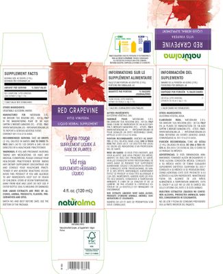 Naturalma Red Grapevine (Vitis vinifera) Leaf Alcohol-Free Tincture - 4 fl oz Liquid Extract in Drops - Herbal Supplement - Vegan
