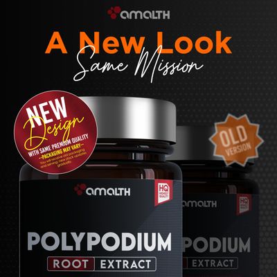 AMALTH Polypodium Leucotomos Extract -Supports Natural Healthy Skin -Antioxidant Supplements -120 Capsules (Gluten Free &amp; Non-GMO)