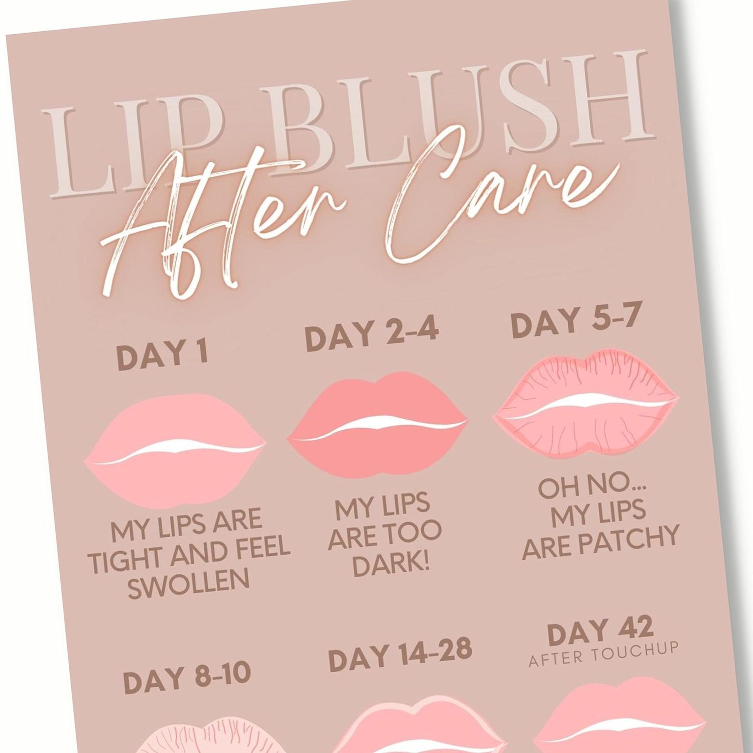 Tats4now Lip Blush Aftercare Instruction Cards | 55 Pack | 2x3.5 inch Business Card Size | Lip Blush Supplies