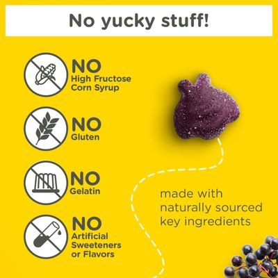 Zarbees Kids Elderberry Immune Support Gummies, Daily Vitamins A C D3 E &amp; Zinc, Real Elderberry Extract, Gelatin &amp; Gluten Free, No Artificial Flavors, Natural Berry Flavor, Ages 2, 42 Ct Bottle