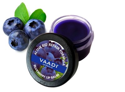 NWIL Vaadi Herbals Blueberry Lip Balm, 10g - Moisturizing, Protecting
