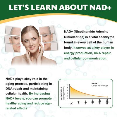 ZERADM NAD Supplement, NAD Nicotinamide Riboside 900 Mg for Men and Women, Liposomal NAD Supplement with Nicotinamide Riboside, Resveratrol & Quercetin, Energy, Boost NAD, 80 Capsules