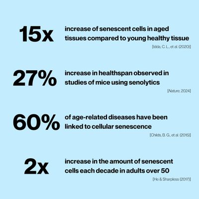 Celly Senolytic Complex | Longevity Supplement for Healthy Aging and Cellular Health with Quercetin and Fisetin | Targets Senescent Cells | 30 Servings | Non-GMO &amp; 3rd Party Tested