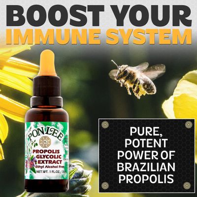 Pon Lee Brazil Green Bee Propolis Liquid Extract No Alcohol 30ML 1 Pack