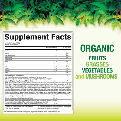 Natural Factors Whole Earth &amp; Sea, Organic Fermented Greens, Vegan Whole Food Supplement, Chocolate, 7.7 Oz