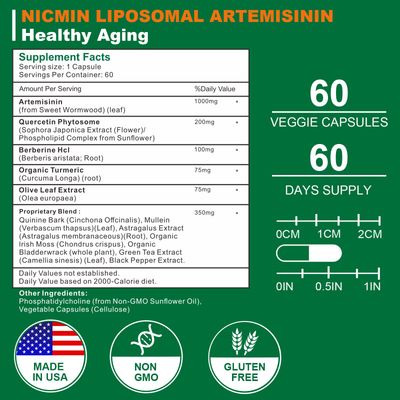 NICMIN Liposomal Artemisinin Supplement 1000mg, Sweet Wormwood Extract with 200mg Quercetin Phytosome, Maximum Absorption for Antioxidant 60 Capsules