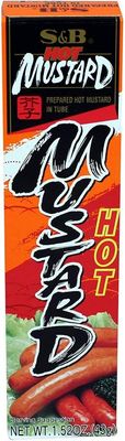 S&amp;B Prepared Hot Mustard in Tube, 1.52 Ounce (Pack of 10)