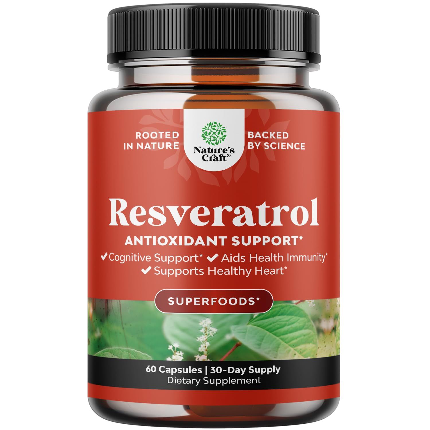Youthful Trans Resveratrol Supplement - Resveratrol Capsules with AMPK Activator for Cellular Health &amp; Vitality - AMPK Metabolic Activator for Metabolism Boost &amp; Cellular Efficiency - 60 Count