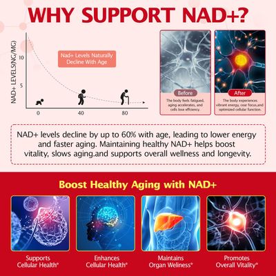 KITNOBLIS NAD Supplement for Women 1000mg - High Potency Cellular Energy Booster with PQQ, Resveratrol - Health, Anti-Aging Support 21pcs