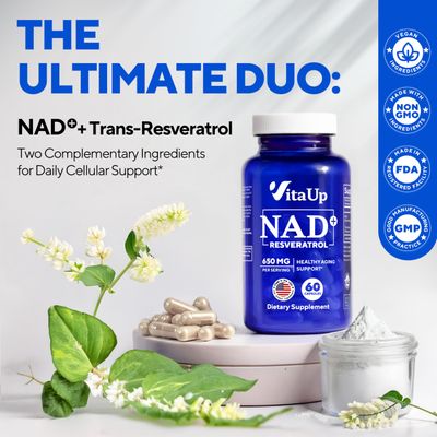 VitaUp NAD Resveratrol Supplement - USA Made Trans Resveratrol NAD Supplement 650mg - Nicotinamide Adenine Dinucleotide Capsules for Healthy Aging, Energy &amp; Focus Support - 60 Count
