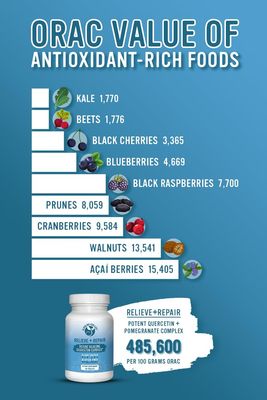 Relieve Repair Quercetin 1000mg, Pomegranate Juice Powder, OPC Antioxidants Supplement - Pure Quercetin Dihydrate -Preferred Form for Bioavailability (90 Tabs)