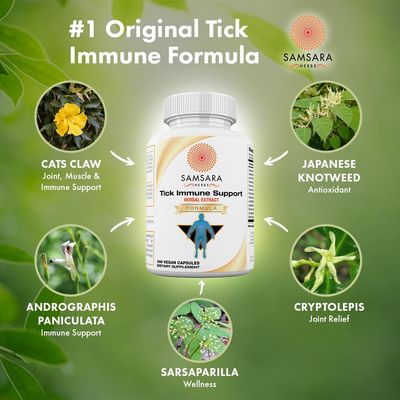 Samsara Herbs Tick Immune Support - Japanese Knotweed, Cats claw, Andrographis, Cryptolepis, Sarsaparilla, Resveratrol, Tick Bite Support 240 Capsules