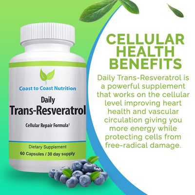 Trans-Resveratrol Supplement - Organic Capsules - Vegan Supplements for Women and Men, Natural Antioxidant, Polyphenols Supplement, Anti Aging - 60 Capsules, 600mg, 30 Day Supply