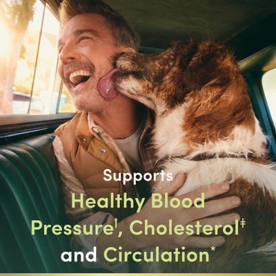 Nature's Bounty Advanced Vital Heart with CoQ10 Magnesium, Antioxidant, Supports Healthy Blood Pressure, Cholesterol, Circulation, Triple Action Formula, CoQ10, Magnesium Supplement, 60 Softgels
