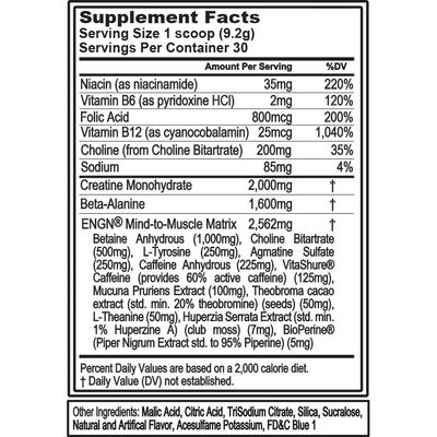 Evlution EVL Intense Pre Workout with Creatine - ENGN Energizing Pre Workout for Men Powder Drink for Lasting Energy Focus and Recovery - with Beta Alanine Caffeine and L Theanine - Rocket Pop