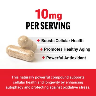 FORCE FACTOR Spermidine Supplements for Women &amp; Men, Antioxidants Supplement for Longevity &amp; Cellular Health, Vegan, No Gelatin, Non-GMO, 120 Capsules