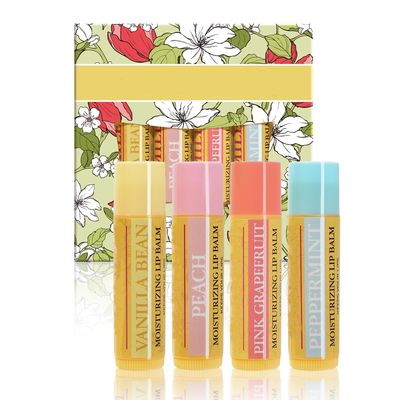 4Pcs Lip Balm Set, Natural Organic Lip Balm Kit, Lip Care with Vitamin E Fruit Flavor Hydrating Lip Balm, Moisturizing Dry Cracked Lips Protection, Organic Lip Balm Set Gift For Women