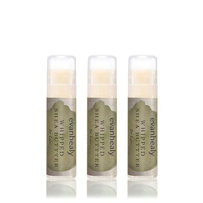evanhealy Whipped Shea Butter for Lips (3 Pack) | Organic Red Raspberry Seed Oil, Beeswax, &amp; Argan Oil | Moisturizing Lip Balm Chapstick
