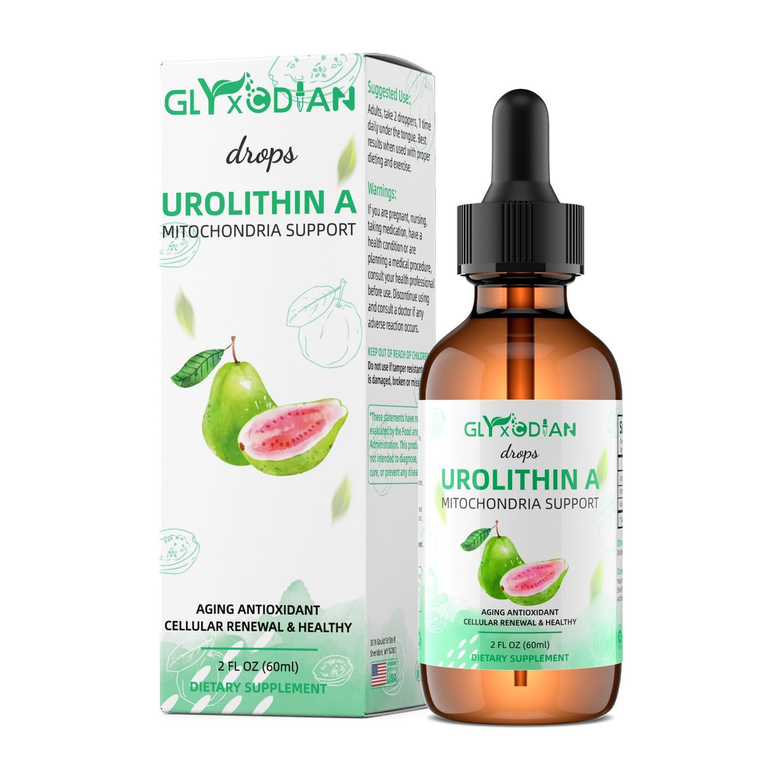 Urolithin Liquid A Drops for Vita Age-Antioxidant Supplement for Muscle Health &amp; Cellular Support - Fast-Absorbing Liquid Formula, Non-GMO, Vegan, 60ml (2 Fl Oz)
