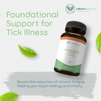 Return Healthy Foundation Formula | Tick Immune Support Supplement | with Japanese Knotweed Root, Cat's Claw, Milk Thistle | Resveratrol Supplement | Non-GMO, All-Natural &amp; Vegetarian, 270 Capsules