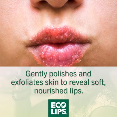 Eco Lips Vanilla Bean Lip Sugar Scrub & Blackberry Intensive Overnight Lip Repair Mask Duo - 100 Organic Lip Care Treatment - Gently Exfoliate, Polish, & Repair Dry, Flaky Lips