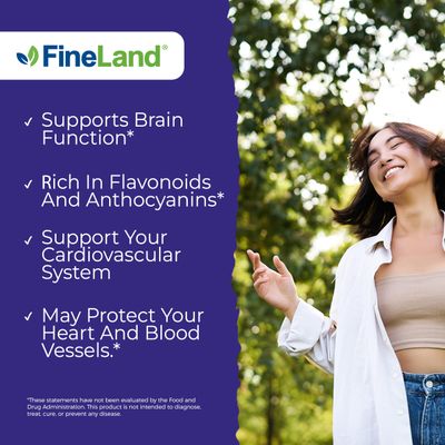 FineLand Wild Blueberry 10:1 Extract, 6,000 mg Strength, 120 Vegan Capsules, Rich in Flavonoids & Anthocyanins, Antioxidant Support for Brain & Heart Health, 4-Month Supply, Non-GMO Made in USA
