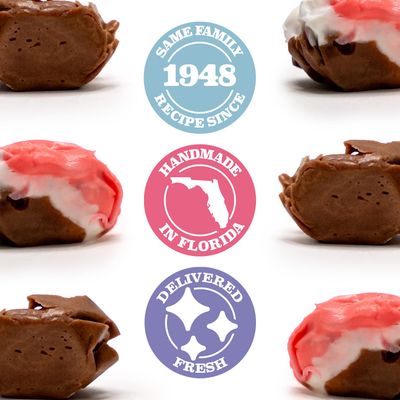 Taffy.com Salt Water Taffy Candy Duo Pack - Chocolate Fudge and Neapolitan Ice Cream