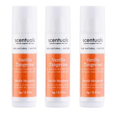 Lip Balm Vanilla Tangerine Set of 3, Made with Shea Butter, Cocoa Butter, Avocado &amp; Jojoba oil, Beeswax, Vitamin E and Essential oil, Moisturizing Lip Care, Cruelty Free Hydration, Natural (3 Pack)
