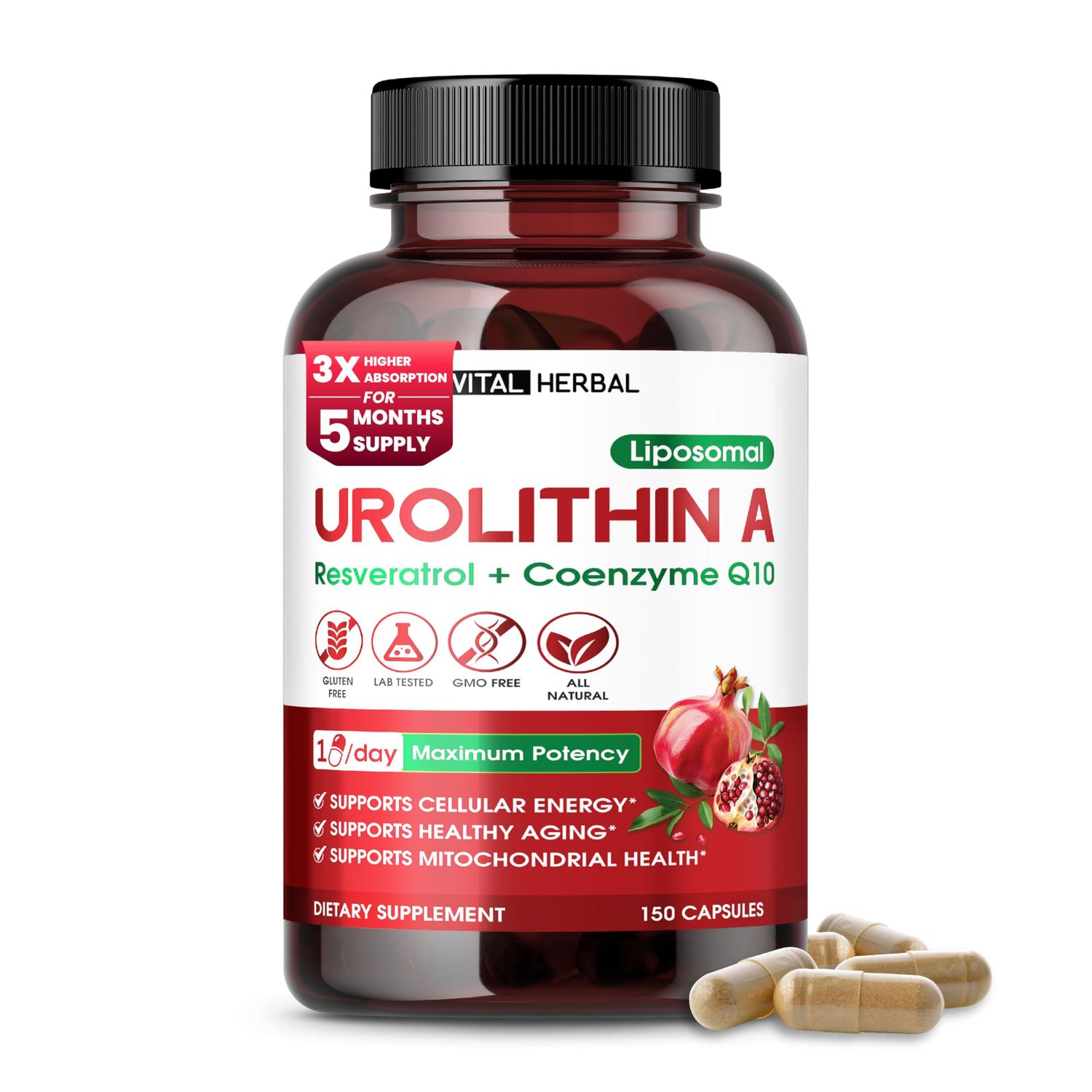 VITAL HERBAL Urolithin A Supplement with Resveratrol Coenzyme Q10- 150 Capsules - Supports Mitochondrial Health, Cellular Energy &amp; Healthy Aging - Made in The USA