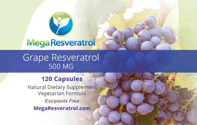 Mega Resveratrol Red Grape Skin, Piceid Resveratrol, Water-Soluble/High Absorption/Boosts Nitric Oxide. 500mg per Capsule. Purity Certified. NO Toxic inactive Ingredients. Keto, Vegan, Non-GMO.