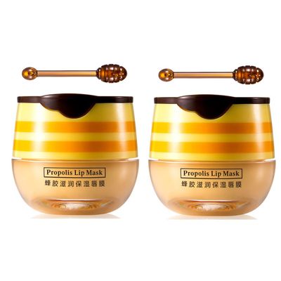 2 PCS Bee Lip Balm Honey Pot,Honey Lip Mask,Honey Propolis Lip Mask Moisturizing Moisture Nourishing Dry &amp; Chapped Lips,Lip Care and Reduces Lip Lines