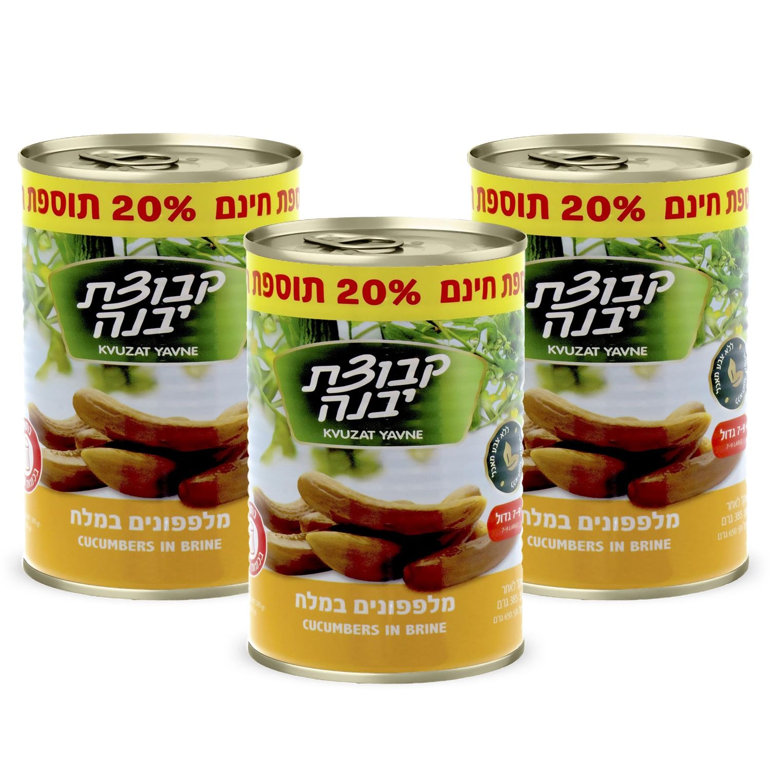 Kvuzat Yavne Pickled Cucumbers in Brine, Pack of 3-670g - Kosher Pickles for Snack, Sandwich Filler, Radish, Salami, and Dips - Kosher Fat-Free Lunchbox Snacks