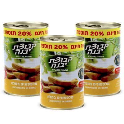 Kvuzat Yavne Pickled Cucumbers in Brine, Pack of 3-670g - Kosher Pickles for Snack, Sandwich Filler, Radish, Salami, and Dips - Kosher Fat-Free Lunchbox Snacks