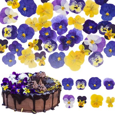 Celblisora 40 Pieces 8 Types of Naturally Dried, Pressed, Edible Flowers for Cake Decorating - Mix of Tricoloured Violas for Cocktails, DIY Crafts