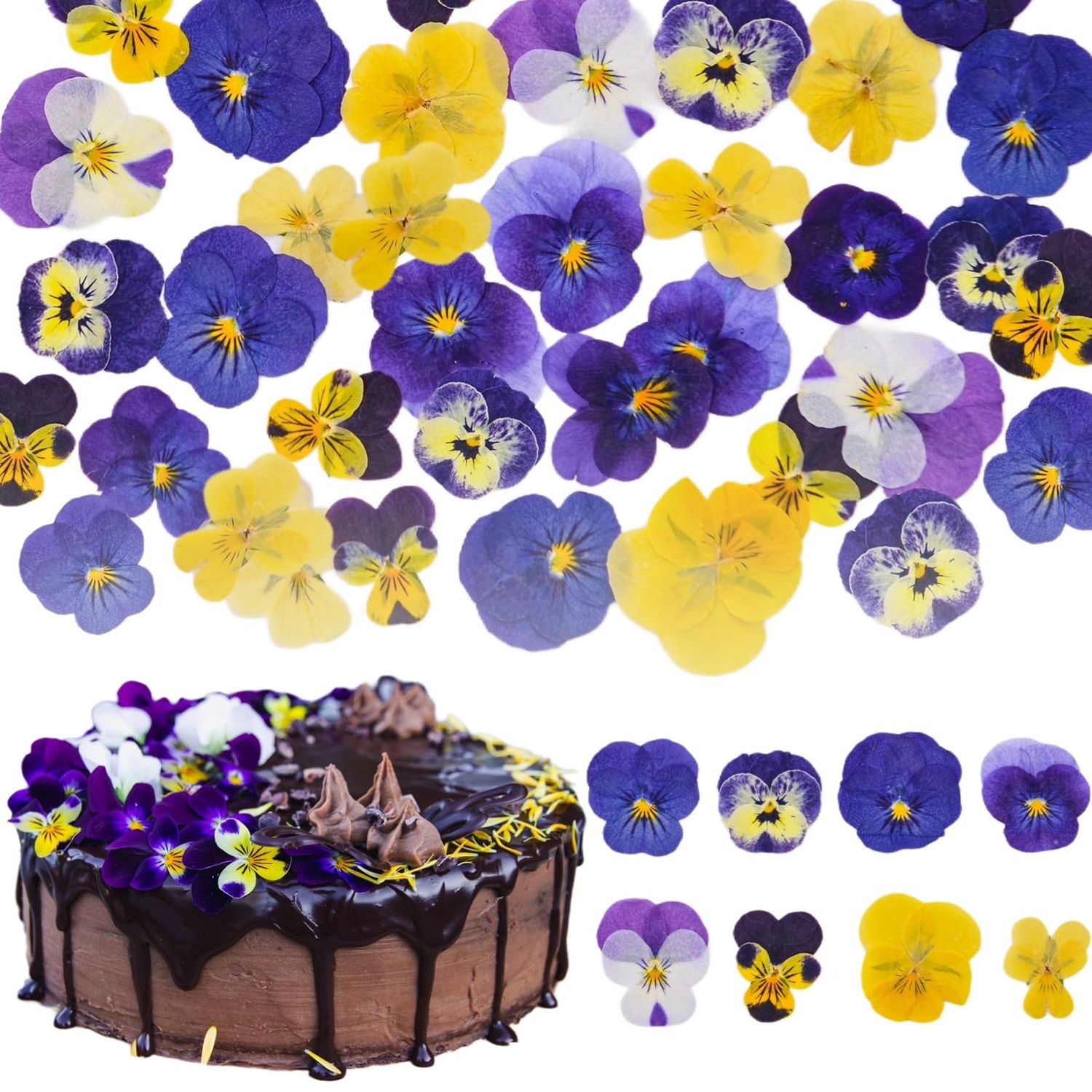 Celblisora 40 Pieces 8 Types of Naturally Dried, Pressed, Edible Flowers for Cake Decorating - Mix of Tricoloured Violas for Cocktails, DIY Crafts