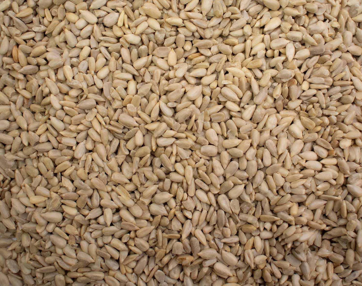 Sunflower Seeds 500g - Premium Sunflower Seed Kernels - Bulk Bag - Ready to Eat - Blue Forest Foods