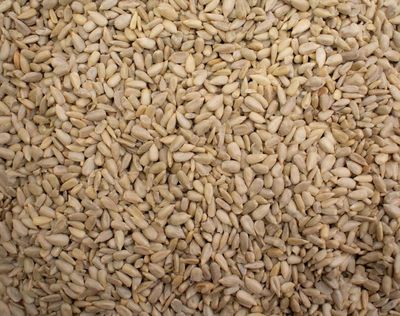 Sunflower Seeds 500g - Premium Sunflower Seed Kernels - Bulk Bag - Ready to Eat - Blue Forest Foods