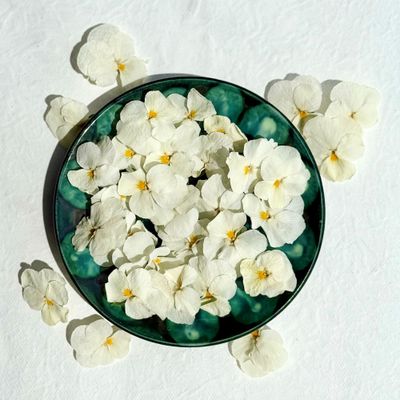 Edible Freeze Dried White Violas - 20 Flower Heads - UK Grown &amp; Dried - Food Grade (544)