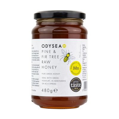 Odysea Pine and Fir Tree Honey, 480g