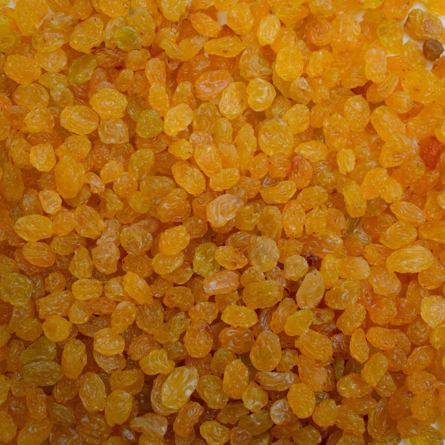 Golden Raisins 1KG - South African Golden Sultanas - Yellow Raisins 1KG - Premium Dried Fruit - Blue Forest Foods