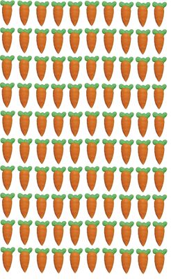 Sugar Carrots Hand Piped x90