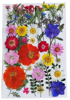 Natural Dried Pressed Mix Cherry Blossom Flowers, 48 Pieces, 8 Varieties, for Cake Decorating, Crafts and Jewelry Making (Mix flower leaf)