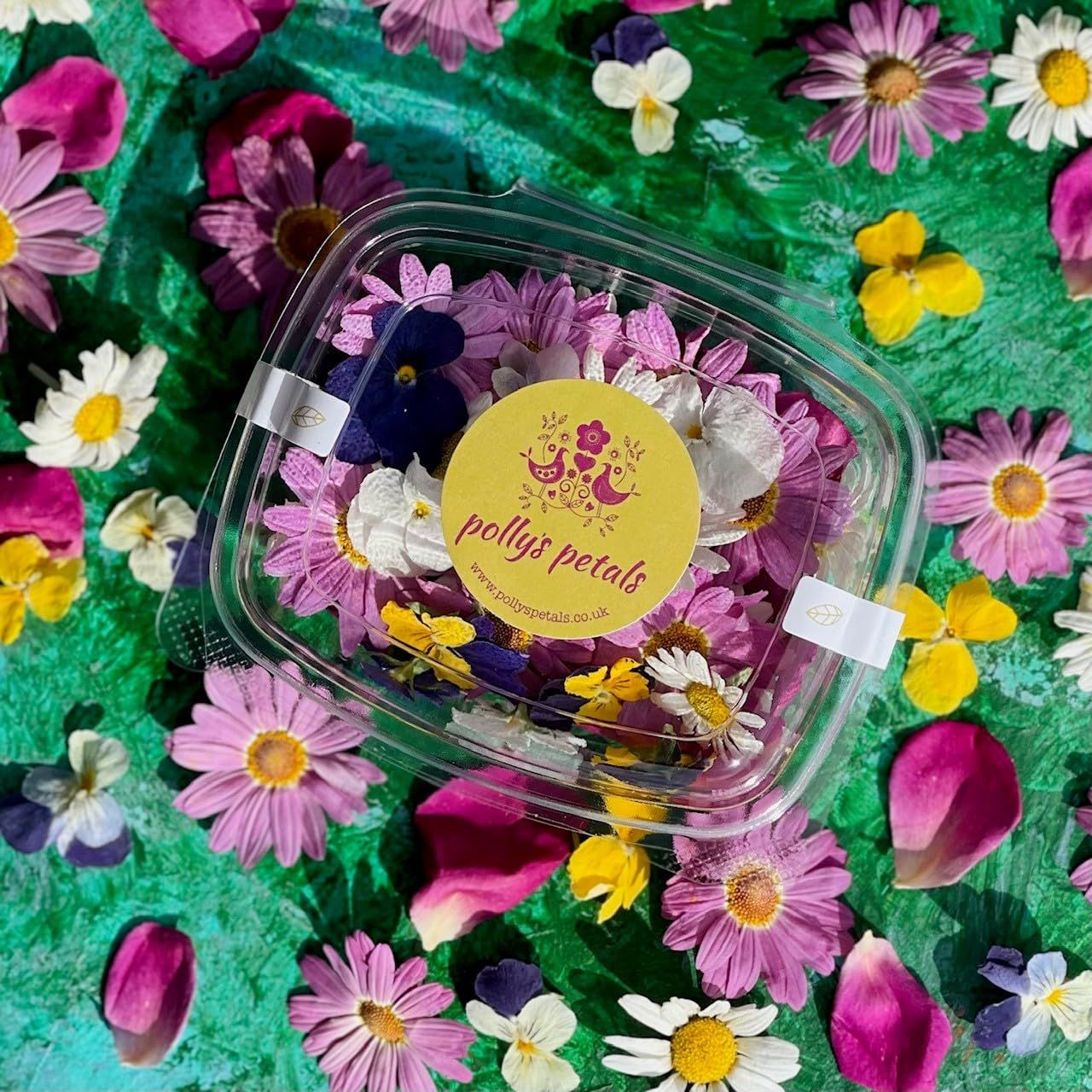Edible Flowers - 'Amelia' Freeze Dried Flower Mix - Certified Food Grade (540)