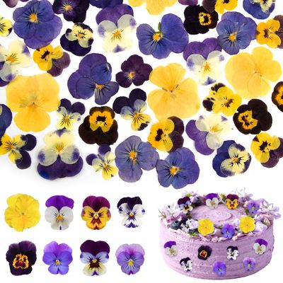56Pcs 8 Types Naturally Dried Pressed Edible Flowers, Mixed Tricolour Viola for Cake Toppers Decorating Cocktails, DIY Crafts