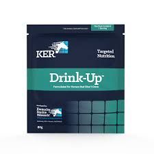 KER Drink Up - Individual Sachet