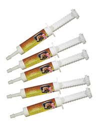 TEESE Equine Pro Culture Paste