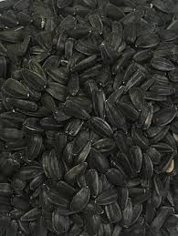 JENCO Black Sunflower - 5kg