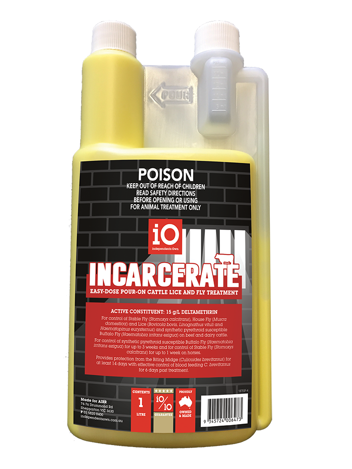 IO Incarcerate - 1L