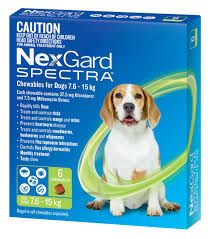 NEXGARD SPECTRA 7.6-15kg Green - 6 pack